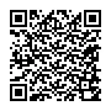 QR Code for Phone number +31658750079