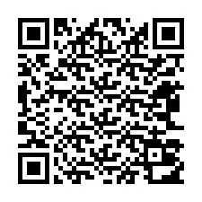 Código QR para número de telefone +32463012434