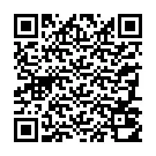 QR-code voor telefoonnummer +33387010708