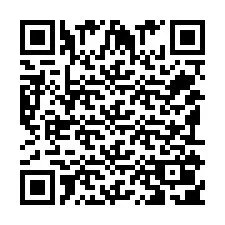 QR-code voor telefoonnummer +351910016911