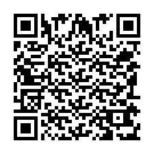 Codice QR per il numero di telefono +351916313124