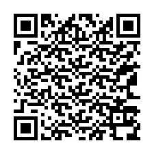 QR-code voor telefoonnummer +37163138910