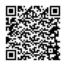 QR-Code für Telefonnummer +38269887413