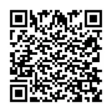 QR-Code für Telefonnummer +393383597513