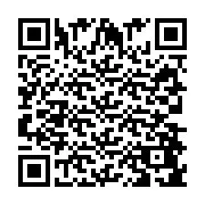 Código QR para número de teléfono +393384817938