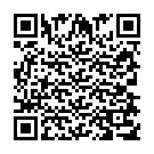 电话号码二维码 +393387174714