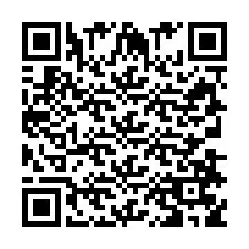 QR Code pour le numéro de téléphone +393387597114