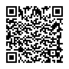 QR Code pour le numéro de téléphone +393880790411