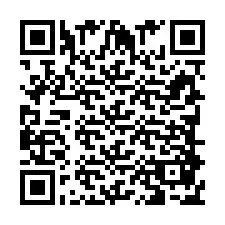 QR-code voor telefoonnummer +393888756685