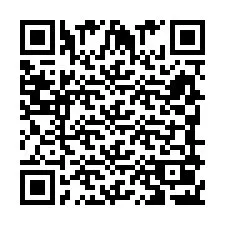 QR-код для номера телефона +393890232037