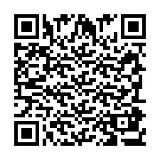 QR kód a telefonszámhoz +393908334120