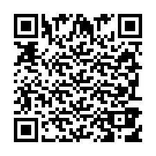 QR Code pour le numéro de téléphone +393938169728