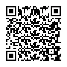 Kod QR dla numeru telefonu +393938856247