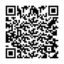 Codice QR per il numero di telefono +420386103795