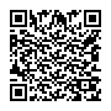 Codice QR per il numero di telefono +554130203101