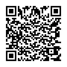 Codice QR per il numero di telefono +554734179200