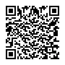 QR-код для номера телефона +558133207100