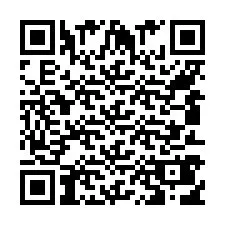 QR код за телефонен номер +558134164500