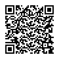 Codice QR per il numero di telefono +56228389150