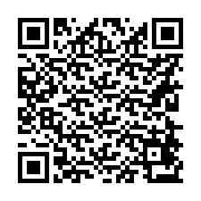 QR Code pour le numéro de téléphone +56228473415