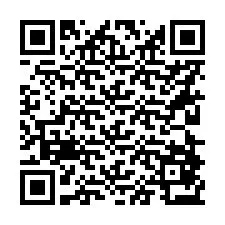 QR-Code für Telefonnummer +56228873300