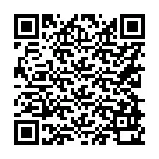 Codice QR per il numero di telefono +56228920199