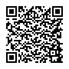 QR-Code für Telefonnummer +56228981164