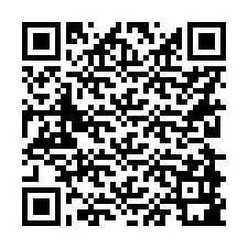 Codice QR per il numero di telefono +56228981184