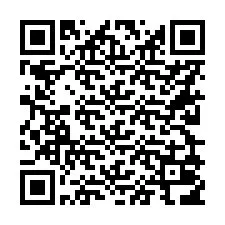 Código QR para número de teléfono +56229016028