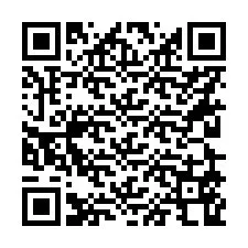 Codice QR per il numero di telefono +56229568000