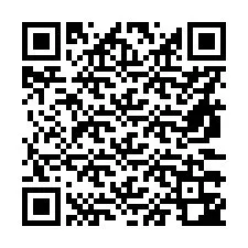 QR Code pour le numéro de téléphone +56973342287