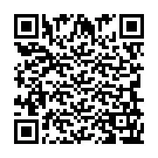 QR-Code für Telefonnummer +62349163700424