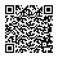 QR-code voor telefoonnummer +6285873958417