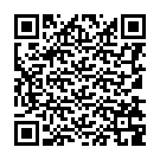 QR kód a telefonszámhoz +8613838991000