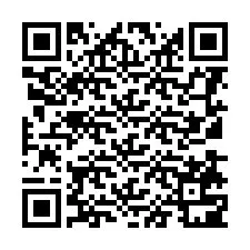 QR-код для номера телефона +8613870190500