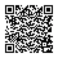 QR Code for Phone number +8613872255228
