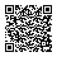 QR Code for Phone number +8613893517863