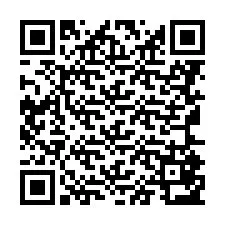 QR Code for Phone number +8616585320466