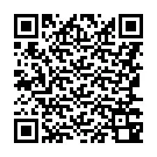 QR Code for Phone number +8616734068278