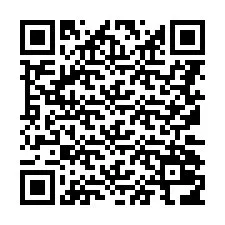 Codice QR per il numero di telefono +8617001665968