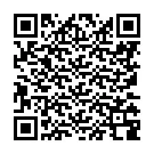 Codice QR per il numero di telefono +8617138811897