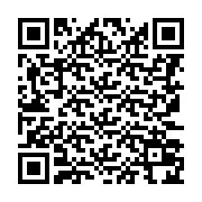 QR Code for Phone number +8617302469284