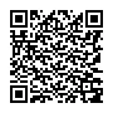 QR Code for Phone number +8617338739005