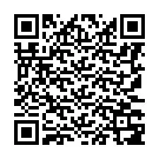 Kod QR dla numeru telefonu +8617338739005