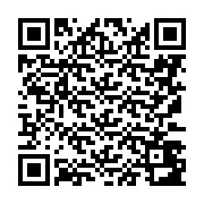 QR Code pour le numéro de téléphone +8617348395177