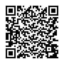 QR Code pour le numéro de téléphone +8617348395178