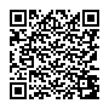 QR-Code für Telefonnummer +8617348395182