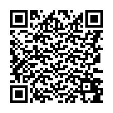 QR-Code für Telefonnummer +8617348565268