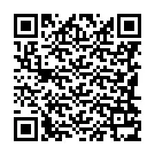 电话号码二维码 +8618413547516