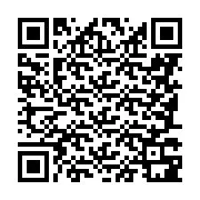 QR Code pour le numéro de téléphone +8618738113977